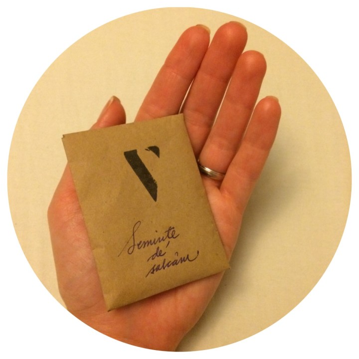 15157002_10209236757850667_8074574286318284268_o