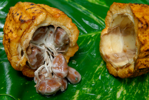 blog-bekahbrunstetter-com