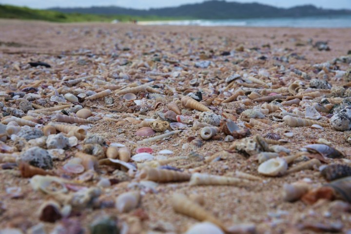 Playa Grande.jpg, notjustabroad.com